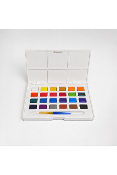Dolphin Water Colors Paint Set, 24 Bright Colours Painting Set Includes Brush...