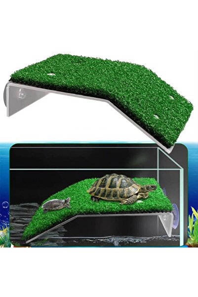 Ocean Free Platforma acvariu broasca testoasa cu moss marime medie