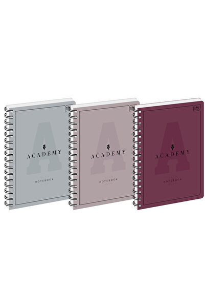 Interdruk Set 5 caiete A4 Interdruk, 100 file, multicolor, 21x29.7cm