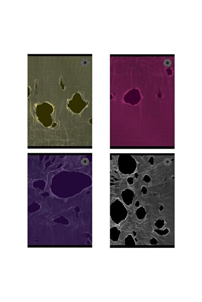 OEM Set 5 caiete Ziemia Obiecana A5 80 file in carouri multicolor