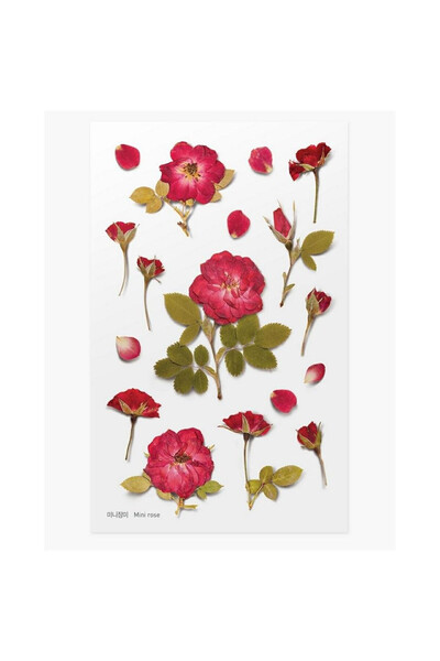APPREE Stickere decorative mini multicolor 15.2x9.4cm