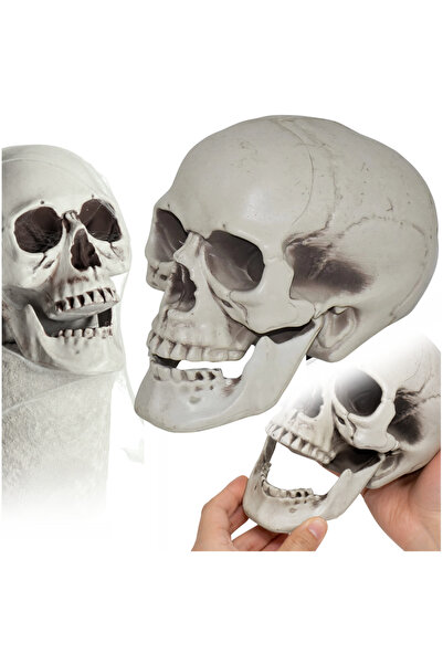 Korbi Decorațiune cu craniu de Halloween în nuanțe de gri, 20 cm
