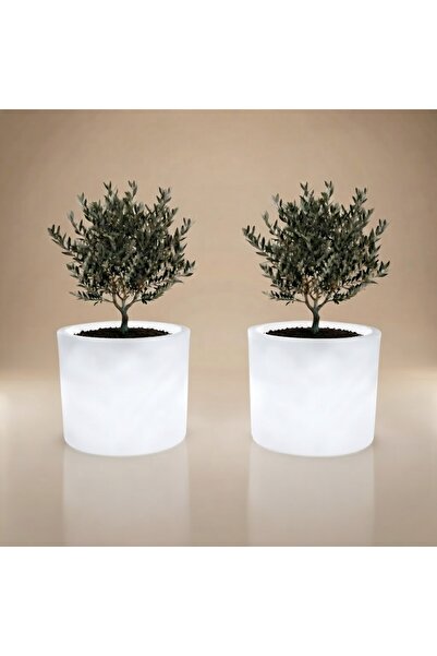 MYASEM STORE Set of 2 Laura Led Illuminated Planter Boxes for Indoor and Outd...