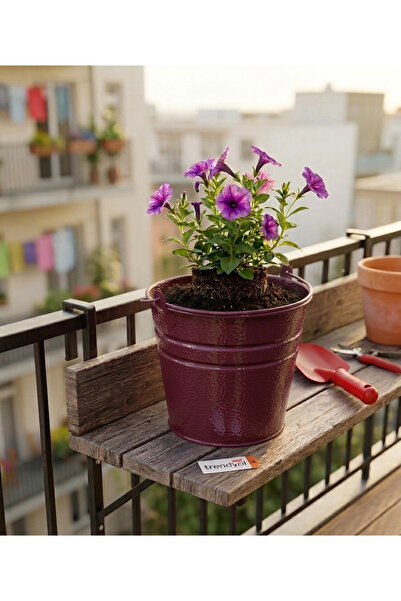 ÖZHEMMEKLER 5'li Metal Saksı Seti - Masaüstü ve Balkon Dekoratif Metal Saksı (18x13x15)
