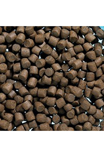 Genel Markalar Alabalık Yemi - 4mm - 1 Kg - Fishack