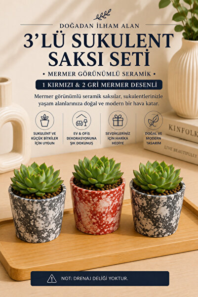3’lü Seramik Sukulent ve Küçük Süs Bitkisi Saksı Seti – Kırmızı & Gri Mermer Desenli