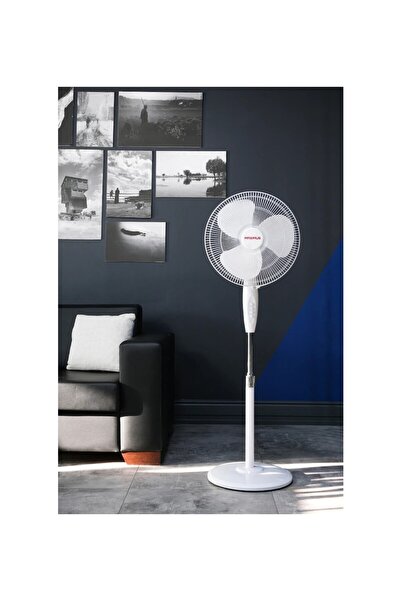 Maximus By Minisan 16'' Ayaklı Vantilatör 55 W Güçlü ve 3 Kademeli Hız Ayarı ...