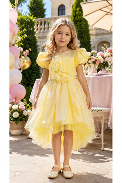 Pamina Girl's Evening Dress Giant Flower Applique Long Back Tulle Organza Dre...