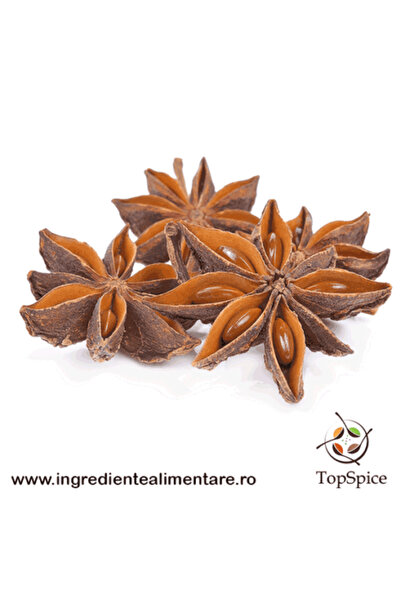 TOP SPICE Anason Stelat 500g