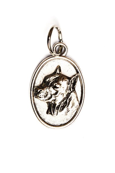 Art - Dog Colier American Staffordshire Terrier Art-Dog
