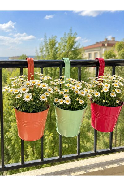 NATURELMETAL GALVANİZ METAL ASKILI BALKON BAHÇE SAKSI ÜÇLÜ SET KARIŞIK RENK