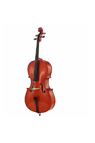 Yamaha في سي-5 إس 1/2 تشيلو أكوستيك
