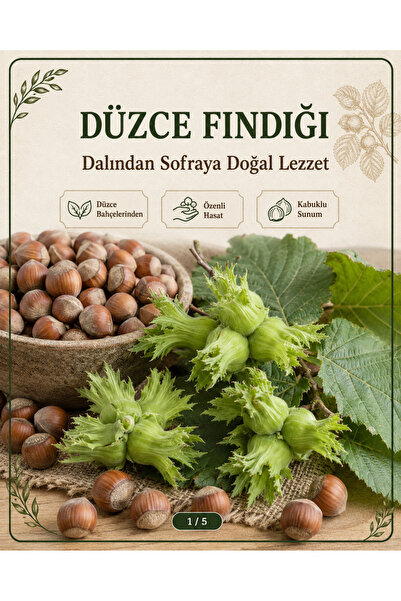 ozan gida pazarlama Yaş Findik Dalindan (1 kg)