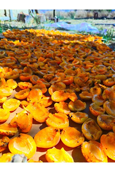 Manazlı Grup Köy kuru kaysısı 1kg