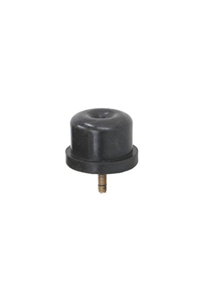 STR Element Rabatare Cabina (tampon Diametru 60mm Lungime 40mm M8x1,25) Scani...