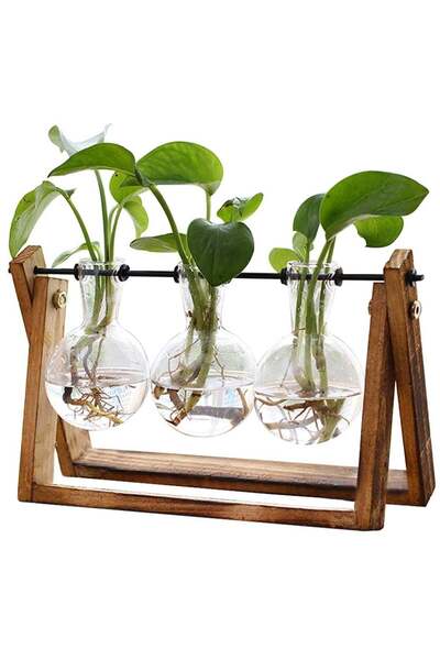 Arabest Plant Terrarium,3 Bulb Glass Vase with Wooden Stand,Air Planter,Metal...