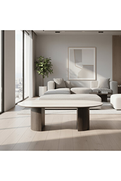 Roots Furniture طاولة قهوة من الترافرتين الألباستري