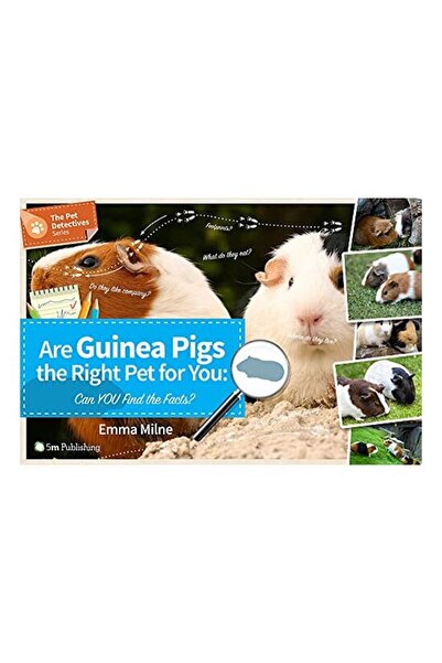 Generic (Unbranded) Sunt porcușorii de Guineea potriviți pentru tine?