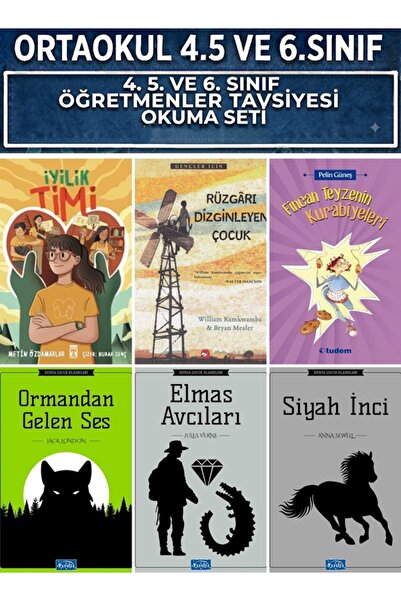 Parıltı Yayınları ORTAOKUL 4.5.VE 6.SINIF İYİLİK TİMİ,RÜZGARI DİZGİNLEYEN ÇOC...