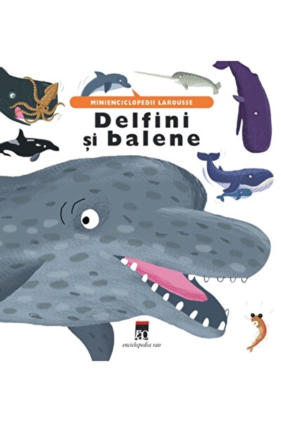 Rao Delfini si balene - Minienciclopedii Larousse