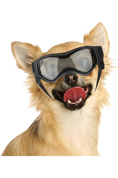 STARSTAR Dog goggles - Small dog goggles - UV protection - Dog sunglasses - W...