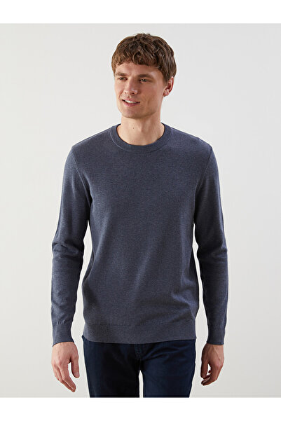 LC Waikiki Crew Neck Long Sleeve Men's Tricot Sweater