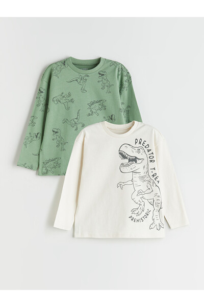 LC Waikiki Crew Neck Printed Boys' T-Shirt 2 Pack