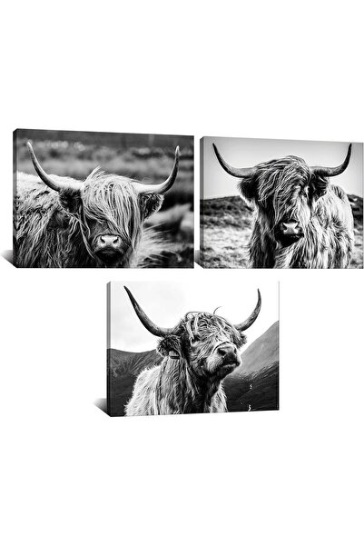 HOME MODE 30x40 cm 3 Panel Gallery Wrapped Canvas | Highland Cow Black White ...