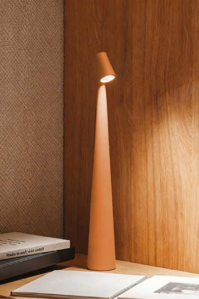 Generic Cordless Rechargeable Reading Metal Table Lamp, 3-Level Brightness | ...