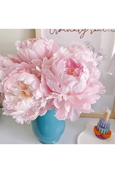 Bloom & Sow Seed Fresh Light‑Pink Double Peony Cut Flower, Luxurious Full‑Blo...