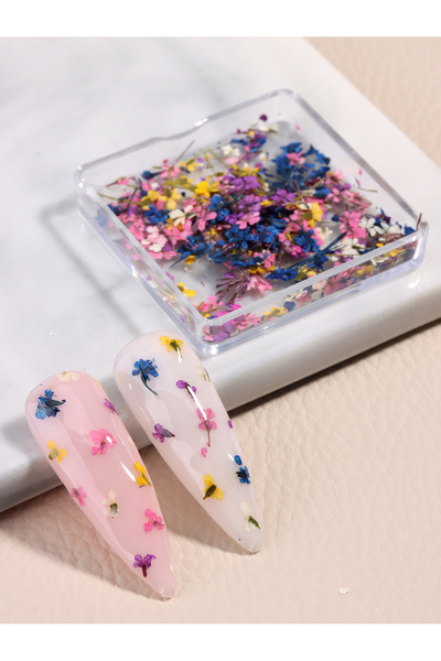 Choice4 1pcs-FF-03 Mixed Colorful Natural Flowers Nail Art Charms Klein Blue ...