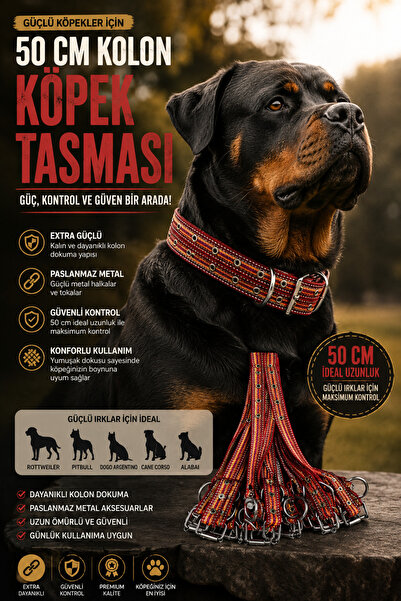 50 cm Güçlü Kolon Köpek Tasması | Paslanmaz Metal Tokalı | Büyük ve Güçlü Irklar İçin Dayanıklı Tasma