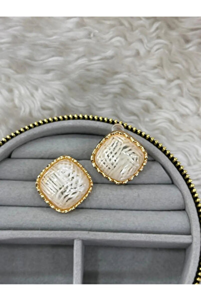 Bozhi Elegant Earrings Daily Elegance Gift Steel