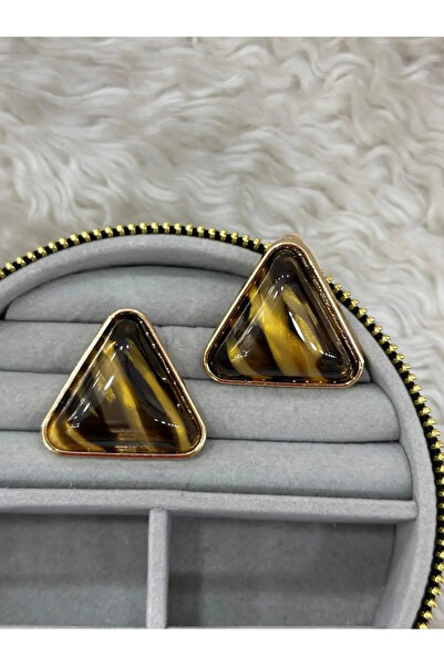 Bozhi Earrings Steel Stylish Gift