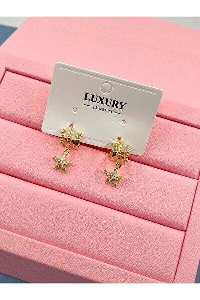 Bozhi Star Detailed Elegant Earrings Sparkling Style Meaningful Gift for Spec...