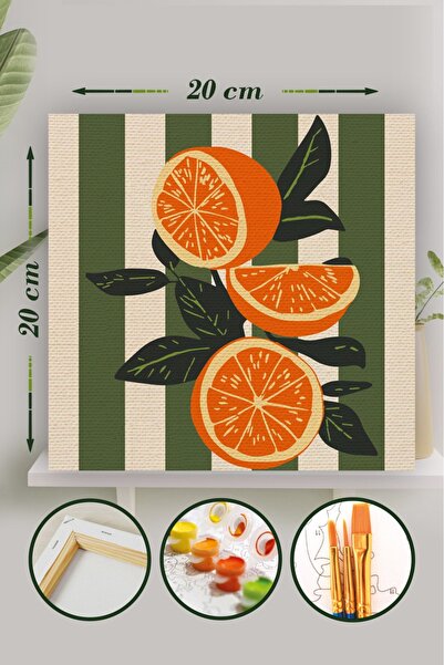 Palmiye Hobi Sanat Sayılarla Boyama 20x20 Cm Tuval Seti Fırça Boya Dahil Çıta...