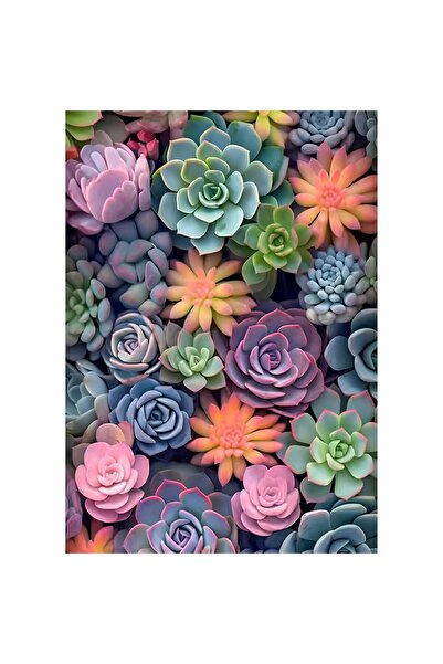 NEVERMORE Set pictura pe numere - panza pe rama lemn 40x50 cm, H1299, NEVERMO...