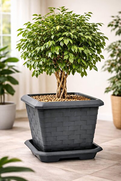poliva home 74.3 Litre 53x53x47cm Antrasit Kare Büyük Boy Tabaklı Saksı