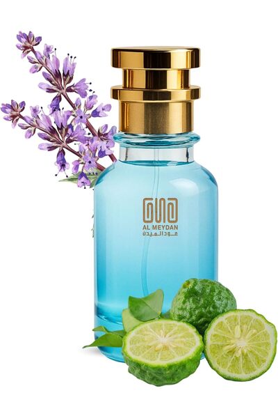 OUD AL MEYDAN Oil-Based Perfume for Men – Inspired by Bergamote 22– Alcohol-F...
