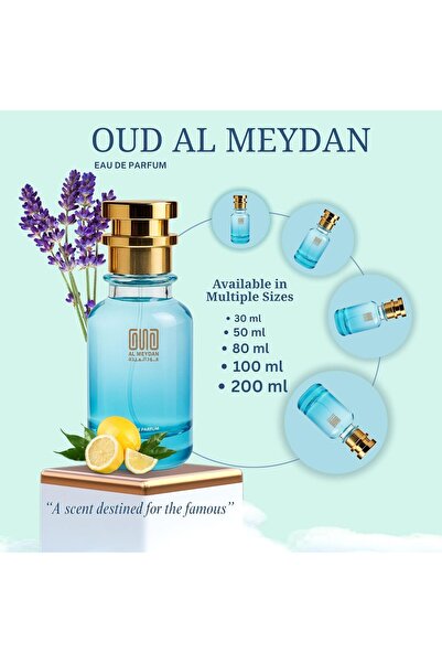 OUD AL MEYDAN ’s Creation Oil Based Perfume for Men – Inspired by Elyziome Pour Homme – Long-Lasting Citrus, Woody & Musky Fragrance, Perfect for Fresh Spring & Summer Wear (30 ML)