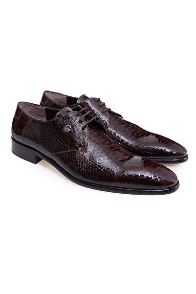 FRANCO CALVANI Brown Lace-Up Genuine Leather Sole Men's Shoes