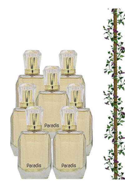 FİNAL 7 قطع عطر باراديس 100 مل