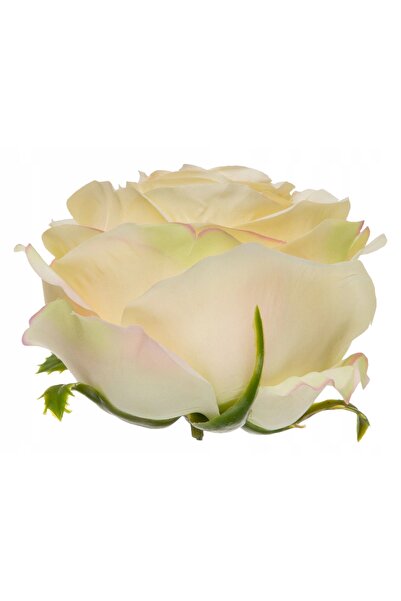 NO BRAND ROSE INDUSTRIAL Budincă de vanilie 12 bucăți FLOWER HEAD Premium