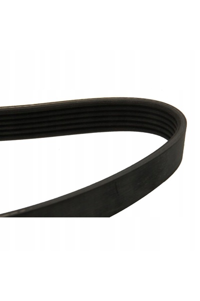 DAYCO 6PK1510 Curea multi-ribată