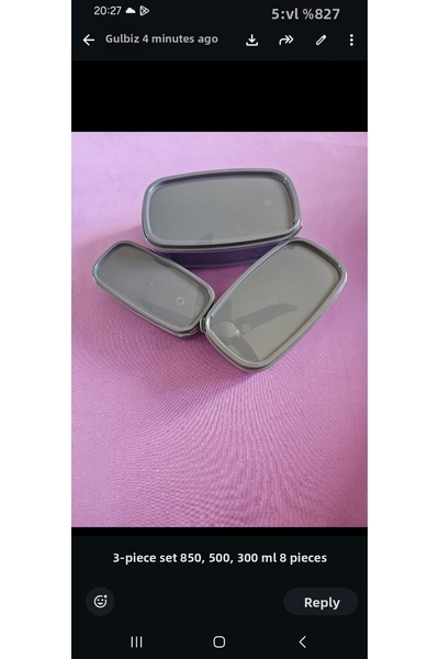 NO BRAND 800 ml Mica Storage Container
