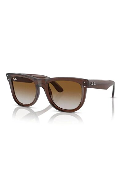 Ray-Ban Güneş Gözlüğü RBR0502S 50 6709CB