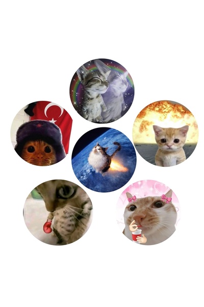 Fivy 6’lı Sarkastik Komik Kedi Rozet Seti 3