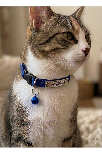 hebmeyy Kedi Tasması, Isimlikli Kedi Tasması, Kedi Künye Tasma, Kaybolursam A...