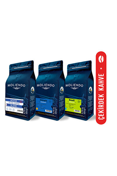 Moliendo Finest Coffee باقة القهوة المفلترة الاقتصادية (القهوة الأساسية) 3*25...