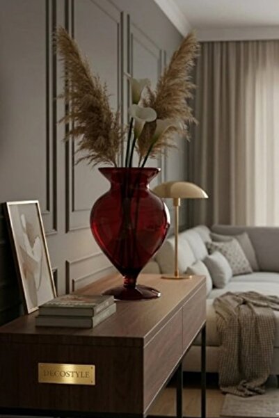 DECOSTYLE Kardiya Red Colored Optical Vase - Single Piece Decorative Glass Li...